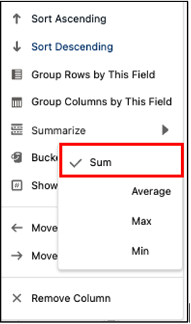 Checkmark on Summarized Option Salesforce