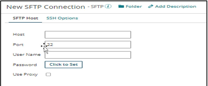 Boomi SFTP Host Options