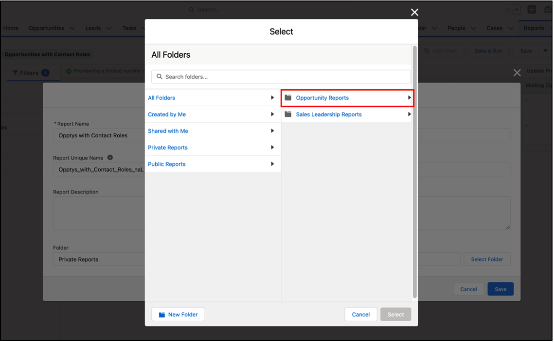 Salesforce Opportunity Reports 2