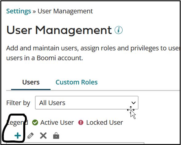 Boomi Security & Roles - User management